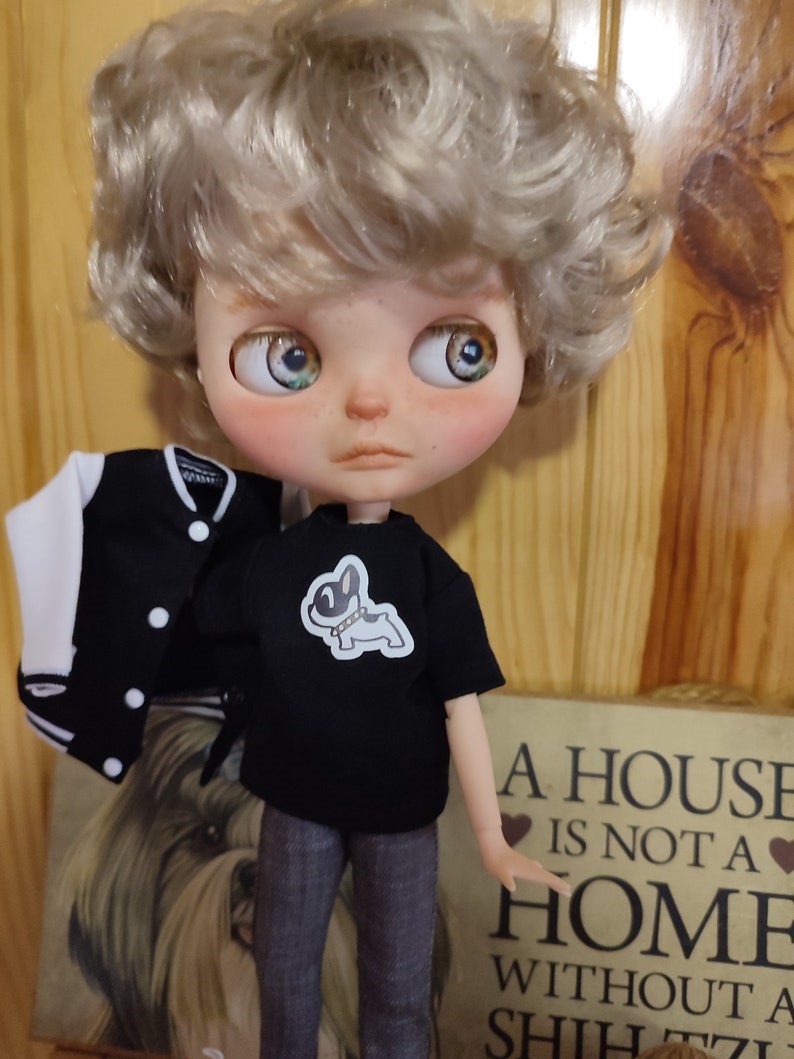 Liam – Custom Blythe Bambola unica nel suo genere OOAK Custom OOAK Blythe Bambola
