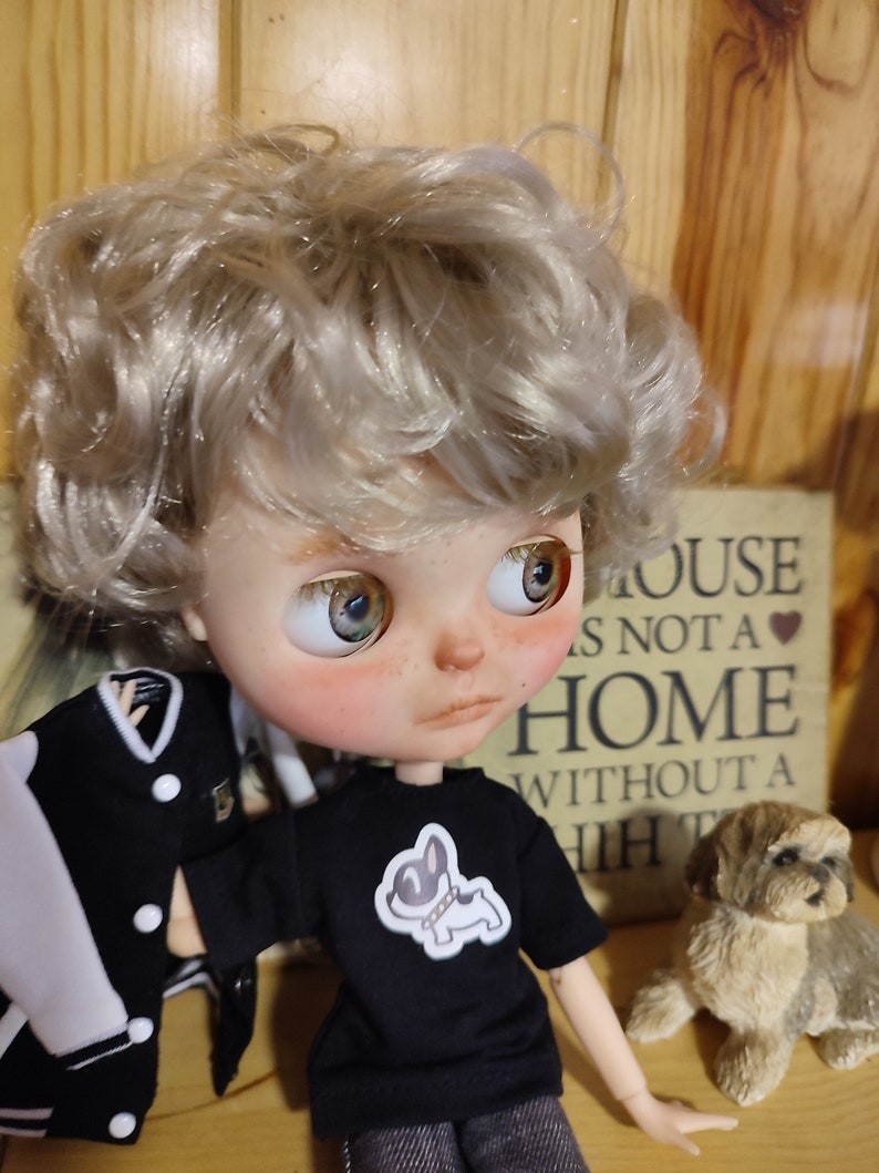 Liam - Custom Blythe Poupée Unique OOAK Custom OOAK Blythe Doll