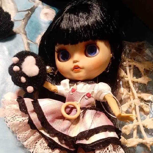 This Is Blythe customer photo from France: custom Blythe doll beautifully presented in a full outfit